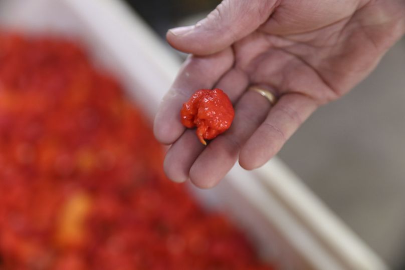 La otra creación de Currie, Carolina Reaper, anteriormente tenía el récord de pimienta más picante del mundo, y tiene un perfil de sabor dulce.