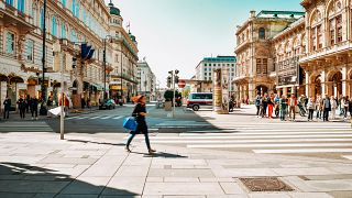 Vienna was found to be the best place for expats to raise a family. 