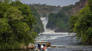 Touristes tués en Ouganda : Londres recommande d'éviter le parc national