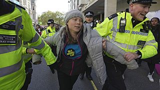 Greta Thunberg, Londra'daki bir protesto eylemi sırasında polis tarafından gözaltına alındı