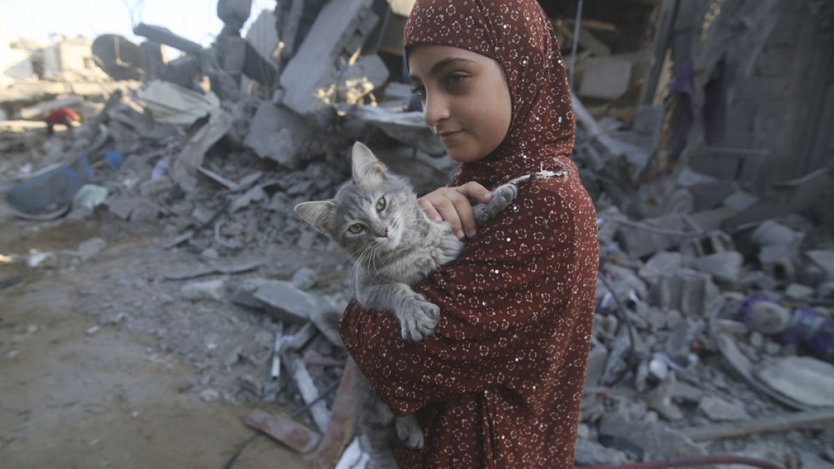Mädchen mit Katze im Gazastreifen