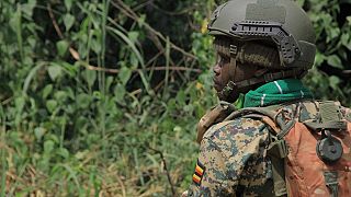 L'Ouganda traque les ADF après le meurtre de 2 touristes