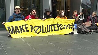 Climate protesters demonstrate against East African pipeline project