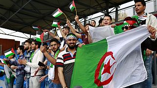 Football : l'Algérie suspend tous les matchs en solidarité avec Gaza