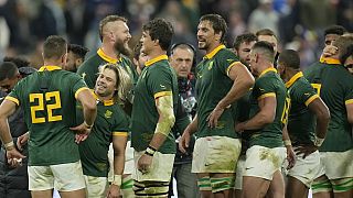 Coupe du monde de rugby : les Springboks inchangés face à l'Angleterre