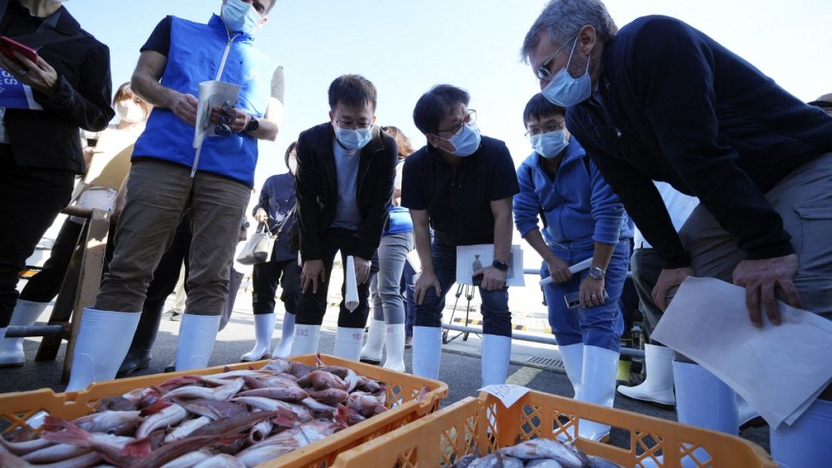 Un équipe de l'AIEA mène un contrôle de l'environnement marin à Fukushima
