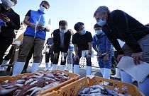Un équipe de l'AIEA mène un contrôle de l'environnement marin à Fukushima