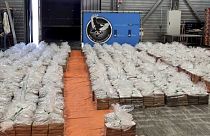 Hollanda'nın Rotterdam kentinde 10 Ağustos 2023'te 8 bin kilogram kokain ele geçirildi