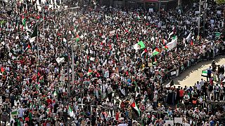 Manifestations de soutien aux Palestiniens dans les rues d'Alger