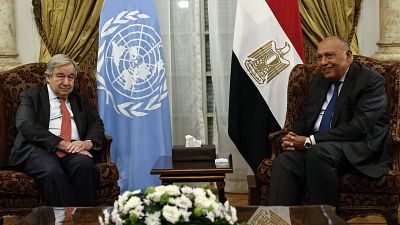 Le secrétaire général de l'ONU rencontre le ministre égyptien des Affaires étrangères
