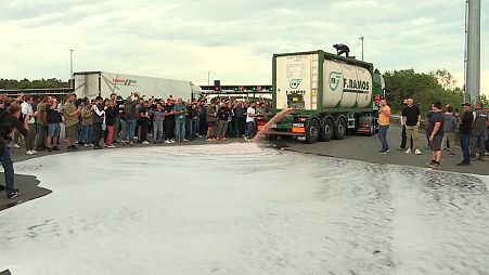 Французские производители протестуют против более дешевого импорта вина 