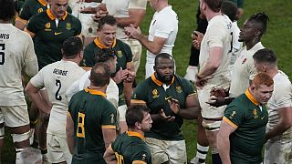 Die Springbocks aus Südafrika stehen bei der Rugby-WM in Frankreich im Finale