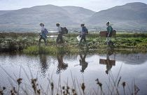 UCD researchers at work in the Derrymore salt marshes, examining the health of these vital ecosystems and their role in carbon storage