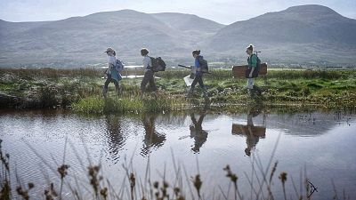 UCD researchers at work in the Derrymore salt marshes, examining the health of these vital ecosystems and their role in carbon storage