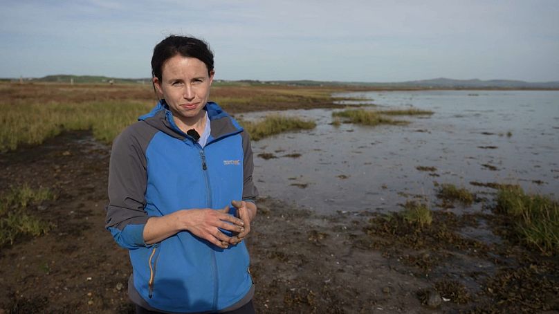 Grace Cott, spécialiste des zones humides côtières, University College Dublin