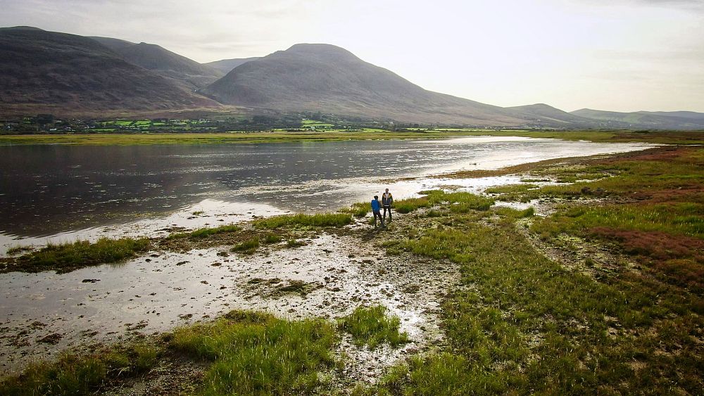 What makes salt marshes such effective carbon capturers? thumbnail