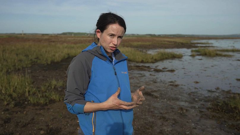 Grace Cott, Coastal Wetland Ecologist, University College Dublin