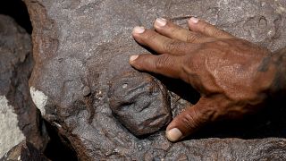 Brazil's drought exposes ancient rock engravings on banks of Amazon River