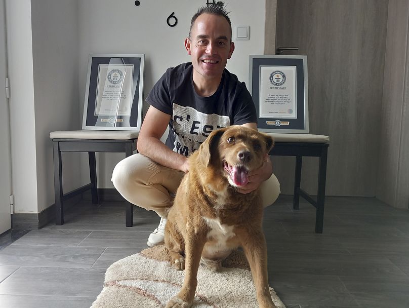 Bobi, a purebred Rafeiro do Alentejo Portuguese dog, poses for a photo with his owner Leonel Costa.