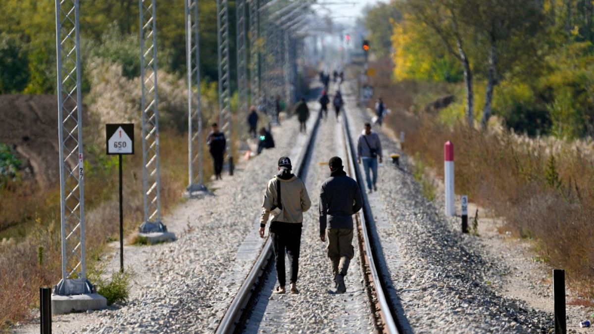 پناهجویان در مرز صربستان و مجارستان