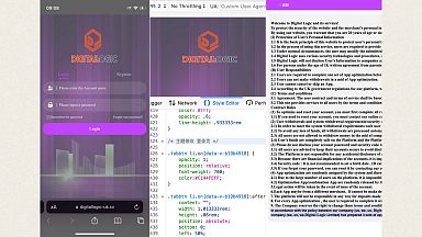 Сайт компании Digital Logic — один из многих доменов WebWyrm, на которых заметны следы китайского кода