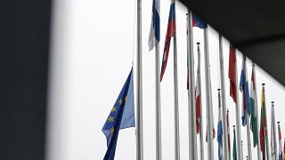 European Union and its members flags at the European Parliament in Strasbourg, eastern France.