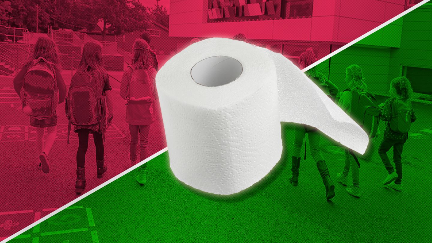 Portatela da casa: cosa c'è dietro la cronica mancanza di carta igienica  nelle scuole italiane?