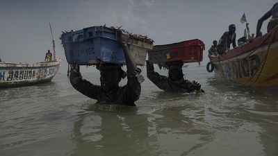 Sénégal : un rapport alerte sur l'impact des chalutiers sur la pêche locale  