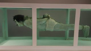 Shark by David Cerny shows Saddam Hussein in formaldehyde