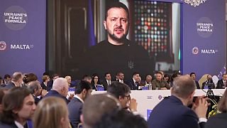 Владимир Зеленский обратился по видеосвязи к участникам мальтийского саммита.