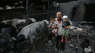 A man holds wounded children near livestock animals around the heavily damaged buildings after Israeli attacks at Nuseirat Refugee Camp on Sunday