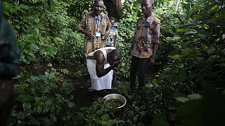 Benin: Deforestation threatens sacred forests of Voodoo believers