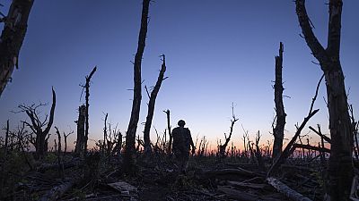 Ukrainian servicemen walk through a charred forest at the frontline a few kilometers from Andriivka, Donetsk region, Ukraine, Saturday, Sept. 16, 2023. 