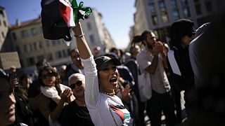 Fransa'da Filistin yanlısı gösterilere getirilen yasak Danıştay'dan döndü