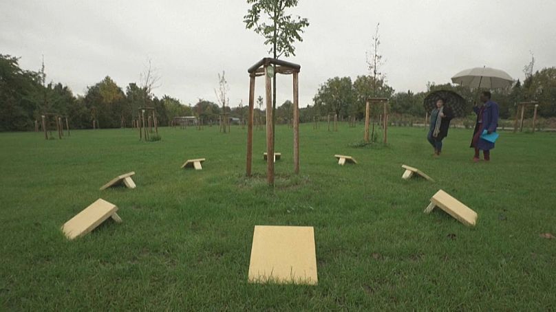 Erinnerungswald auf einem Friedhof - die Bäume müssen noch wachsen.