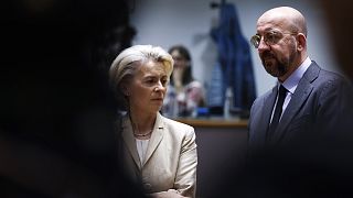 European Commission President Ursula von der Leyen has proposed a nearly €100-billion top-up for the European Union's long-term budget.