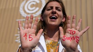 A demonstrator shows her hands reading "1.5 to survive" at a protest advocating for the warming goal at the COP27 UN Climate Summit.
