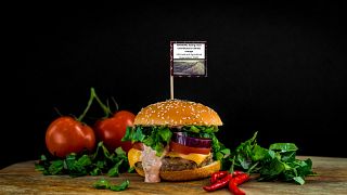 The climate warning label on a small flag sticking in a burger.