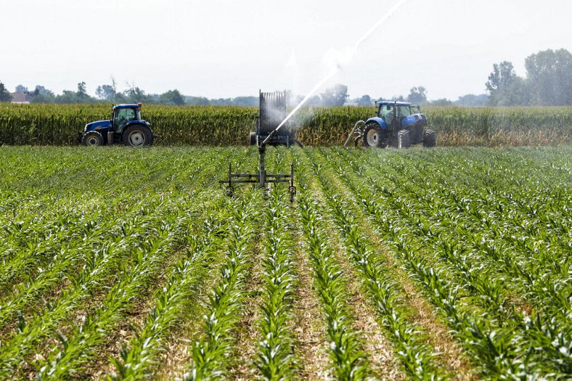 An automatic sprinkler connected to a dewatering pump wets a corn field in Zelo Surrigone, some 30 kilometers south of Milan, July 2022