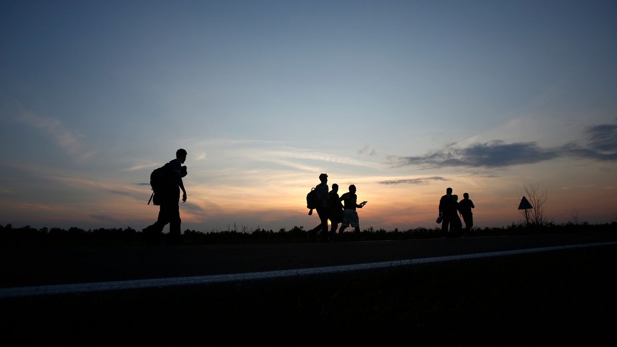 Sırbistan'ın kuzeyindeki Kanjiza kasabası yakınlarında Sırbistan-Macaristan sınırına yakın bir yolda yürüyen göçmenler
