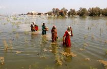 Flooding in Pakistan last year killed at least 1,700 people, destroyed millions of homes, wiped out swathes of farmland, and caused billions of dollars in economic losses.