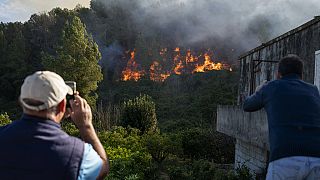 Heftige Waldbrände im Süden von Valencia in Spanien