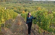 Discovering Moldova’s wine country underground, in the vineyards and from the sky