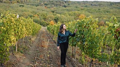Discovering Moldova’s wine country underground, in the vineyards and from the sky