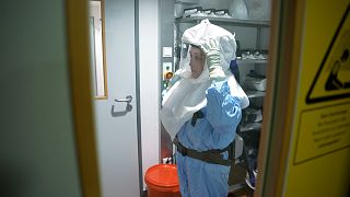 Vorbeugung der nächsten Pandemie: Ein EU-Projekt zur Erforschung von Infektionskrankheiten