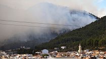 Wildfire advances near the eastern town of Palma de Gandia in Valencia, Spain, Friday, Nov. 3, 2023. 