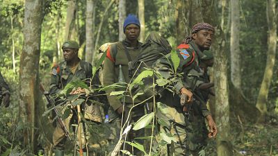 L'ONU et l'armée congolaise lancent une opération contre le M23