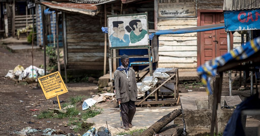 More than 20 villagers killed in Cameroon attack