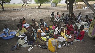 South Sudan: 1.6 million children at risk of malnutrition in 2024 (UN)