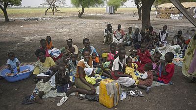 South Sudan: 1.6 million children at risk of malnutrition in 2024 (UN)
